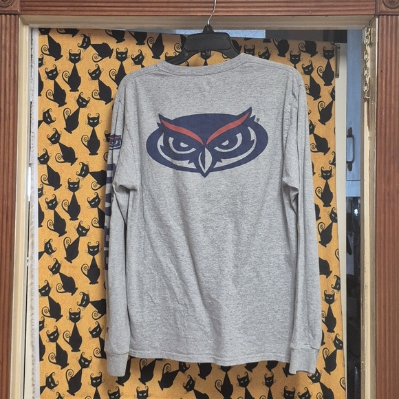 Champion Gray Florida Atlantic University Long Sleeve T-Shirt - Picture 7 of 8